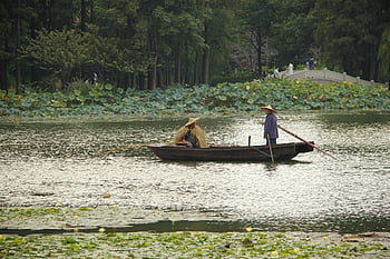 เรือ, ชาวประมง, บ่อน้ำ, ประมง, เรือตกปลา, สวน Turtlehead, Jiangnan, อู่, ประเทศจีน