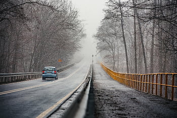 way, street, road, travel, car, auto, traffic, mood, trees, forest, shoulder