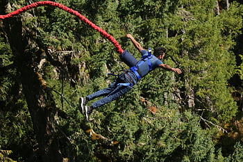bungee jumping, man jumping, forest, adventure, excitement, thrill, outdoor activity, extreme sports, aerial view, red rope, trees