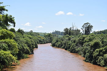 Brazília, Sao Paulo, folyó, rio pardo, víz, természet, ökológia, erdő, környezet, fa, zöld