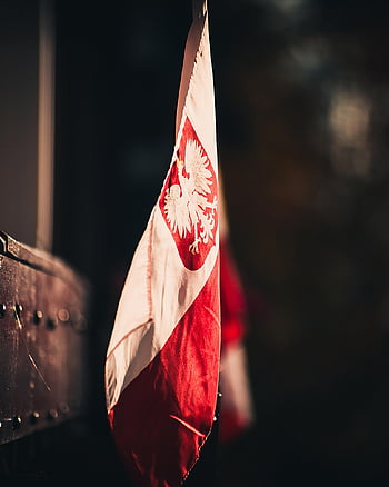 vlajka, Polsko, nezávislost, vlast, Dovolená, patriotismus, vlastenecký, symbol, národ, národnost, polská vlajka