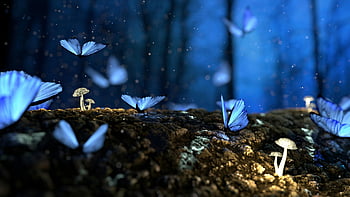 glowing blue butterflies, magical scene, blue butterflies, glowing mushrooms, dark forest, fluttering butterflies, enchanted forest, fantasy scene, nature photography, blue butterfly, mushroom glow