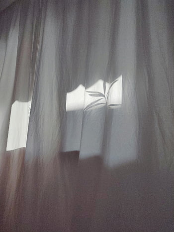 bílá opona, slunečního světla, měkké stíny, Klidná atmosféra, vnitřní scéna, přirozené světlo, zobrazení okna, textilie textura, Mírová atmosféra, domovní dekorace, filtrování světla