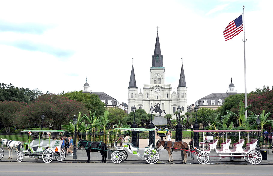 koňské kočáry, New Orleans, jackson náměstí, katedrála bazilika svatého louis, král Francie, cestovat, usa, fotografický obraz, doprava, historický park
