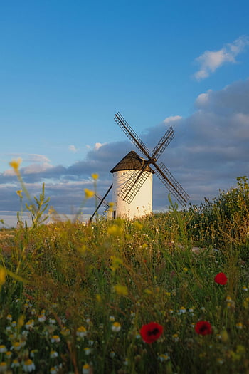 white windmill, spring meadow, vibrant flowers, clear blue sky, picturesque landscape, charming windmill, spring landscape, meadow flowers, windmill in field, rural scenery, springtime meadow