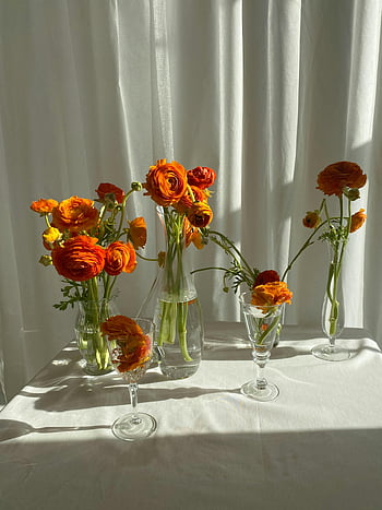 ranuncolo arancione, asiatico, vaso di vetro, tavolo, disposizione vibrante, luce solare calda, tende bianche, composizione floreale, vasi di vetro, fiori di ranuncolo, flusso di luce solare