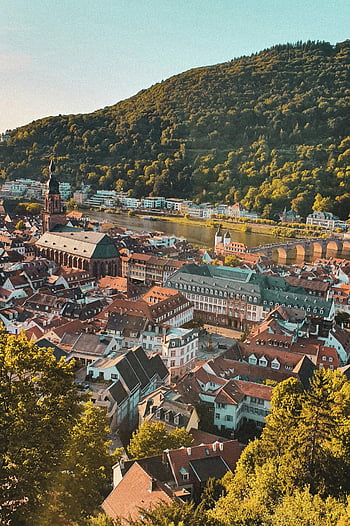 heidelberg, tampak atas, Arsitektur yang menawan, Sungai Neckar, pemandangan indah, gedung bersejarah, kota Tua, jembatan, tepi sungai, tanaman hijau, jerman