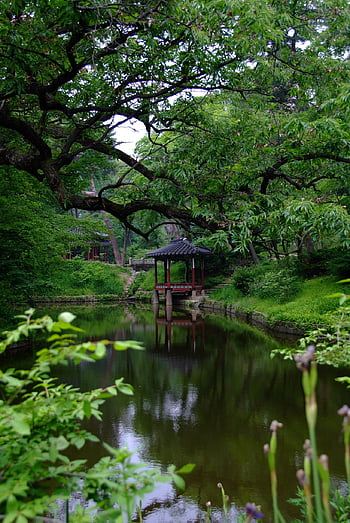 宮殿、 風景、 池、 ソウル、 伝統的な、 韓国、 瓦、 大韓民国、 文化遺産、 ハノク、 造船