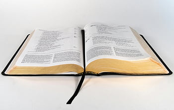 otevřená kniha, vázaná kniha, Témata vzdělávání, Témata literatury, detailní fotografie, Elegantní kniha, Otevřené stránky, stránky knihy, čtenářský materiál, studijní zdroj, vzdělávací obsah