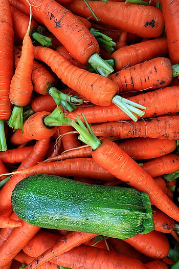 vegetables, carrots, zucchini, food, costs, eat, vitamins, agriculture, health, power, harvest
