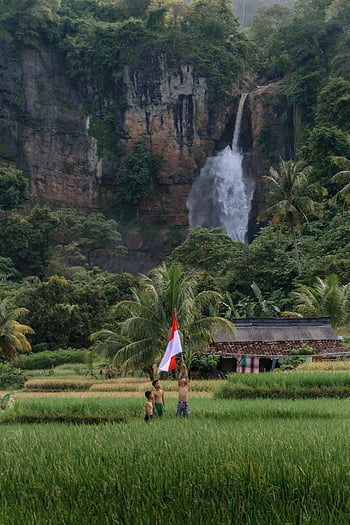bandiera indonesiana, ragazzi, campo di riso, cascata, West Java, Indonesia, lussureggiante, bambini, tenendo la bandiera, sfondo naturale, scena all'aperto