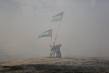 palestinian Flag, man, smoke, palestinian, palestine, gaza Stip, conflict, war, people, gaza, hijab