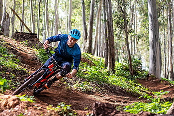 bicicletta, ciclista, montagna, avventura, sport, natura, uomini, ruota, sentiero, Mountain bike, boscoso