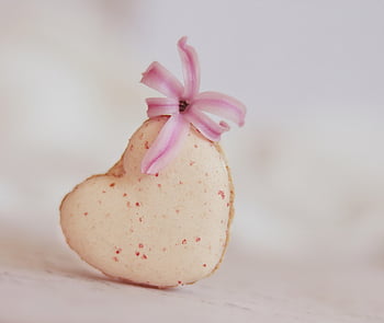 macaron, srdce, pečivo, Srdce macaron, milovat, francouzské pečivo, francouzský zákusek makarónek, sněhová pusinka, mandlové pusinky, cookie, sladký