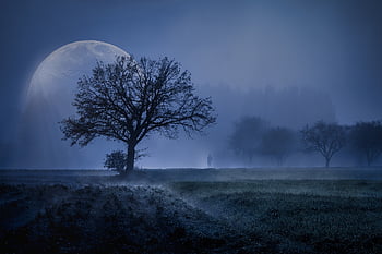 super Moon, moon, full Moon, moonlight, night Sky, creation, moonrise, universe, werewolf, mystical, tree