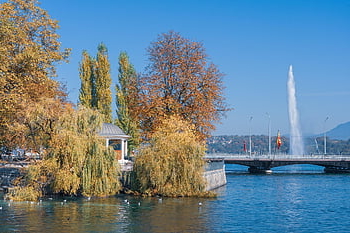 trees, lake, nature, bridge, autumn Colors, fall, cityscape, water, fontaine, geneva, switzerland