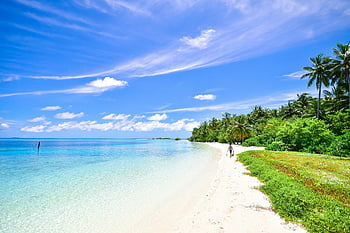 Tropické pláže, atol laamu, Maledivy, relaxační dovolenou, pobřeží, stromy, bílý písek, čistá voda, palmy, modrá obloha, prázdninové destinace
