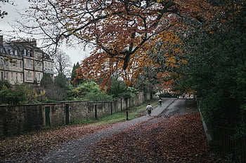 voetpad, pad, manier, trottoir, weg, fiets, lopen, rennen, lopend, jogging, joggen