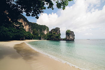 pohon dekat laut, Pantai yang tenang, tebing kapur, Thailand, Tropis melarikan diri, pemandangan pantai, lanskap pesisir, cantik alami, lingkungan yang tenang, tujuan perjalanan, surga tropis