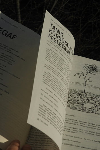 detailní fotografie, stránky knihy, Podrobná ilustrace, rostlin ilustrace, text v jiném jazyce, otevřená kniha, ilustrace knihy, kresba rostlin, literární ilustrace, knihy umění, čtenářský materiál