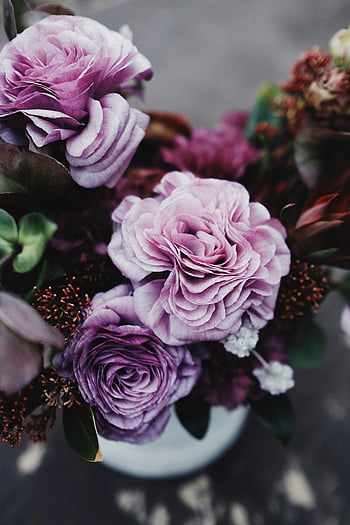 purple peony, close-up flowers, delicate petals, romantic decorations, bouquet, purple flowers, floral arrangement, peony bouquet, romantic flowers, flower photography, purple bouquet