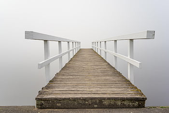 web, promenádě, mlha, mystický, cesta, nálada, voda, krajina, jezero, atmosféra, dřevo