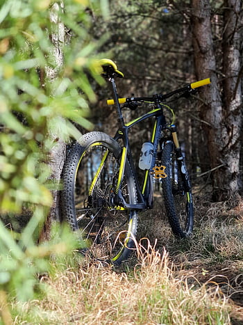 จักรยาน, MTB, ถนน, การขี่จักรยาน, รถจักรยาน, ธรรมชาติ, กีฬา, ล้อ, เบรค, นักปั่นจักรยาน, กลางแจ้ง
