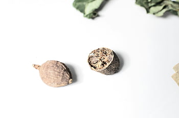 noce moscata spezzata, superficie bianca, noce moscata intera, mezza noce moscata, foglie secche, sfondo bianco, colpo del primo piano, sopra la vista, semi di noce moscata, spezia aromatica, ingrediente culinario