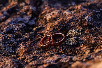 rings, marriage, gold, love, family