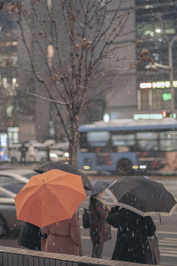 snow, umbrella, passerby, city, tree, road, car, nature, bus, urban, car Wallpapers
