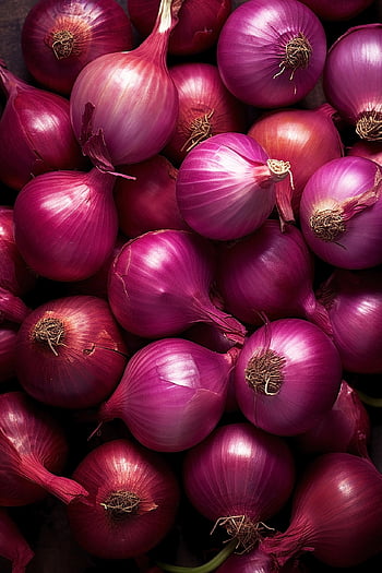 cibule, zelenina, čerstvý, výživa, vegetariánský, vegan, jídlo, zeleninová zahrada, vitamíny, Příroda