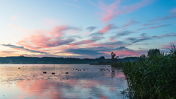 sø, solopgang, horisont, morgen lys, daggry, morgen, humør, natur, naturskøn, landskab, vand