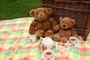 teddy, bear, tea, party, picnic, summer, outdoors, teatime, brown Tea, brown Party