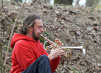 street Performer, trumpet Player, musician, man, trumpet, busking, music, artist, park, outdoors