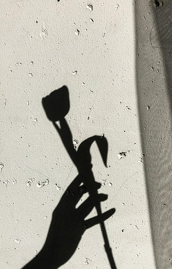 shadow of flower, textured wall, minimalist silhouette, hand holding flower, artistic shadow, shadow photography, wall texture, floral shadow, minimalist art, shadow art, silhouette art