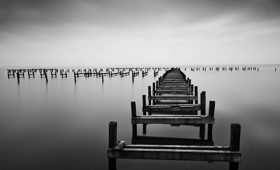 jezero, Příroda, venku, černobílý, Lake Dümmer, web, stege
