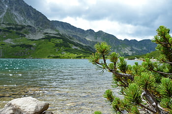 Polsko, tatry, hory, voda, nebe, krajina, Příroda, cestovní ruch, Pohled, beskids, vrcholy