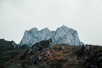 mountain, picos De Europa National Park, spain, landscape, grassland, nature