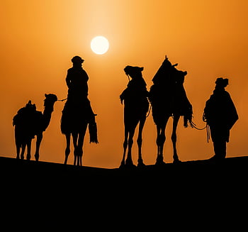 camel caravan, desert sunset, Tamanrasset Algeria, silhouetted people, dusk scene, desert landscape, camel silhouette, sunset silhouette, people with camel, desert travel, travel photography