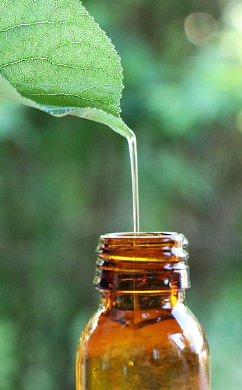 essential Oil, extract, plants, nature, care, medicinal, relaxation