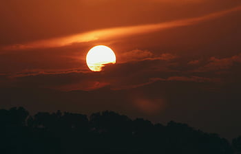 日没、 シルエットの木、 暖かい色、 劇的な空、 オレンジ色の空、 夕方の光、 自然の風景、 日没の写真、 空の色、 木のシルエット、 日没のシーン