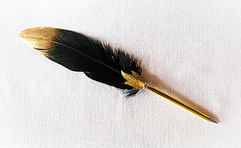peří pero, Pen ve stylu Vintage, Zlaté akcenty, Psaní nadšenců, bílý povrch, přímo nad pohledem, černé peří, zlaté pero, brk, Nástroj pro kaligrafii, dekorativní pero
