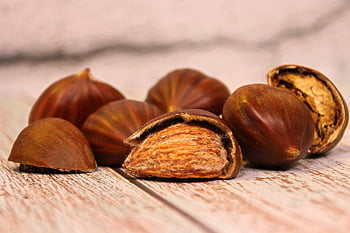 Kastanien, Muscheln, Obst, Herbst, Herbstfrucht, braun, Kastanienfrucht, Natur