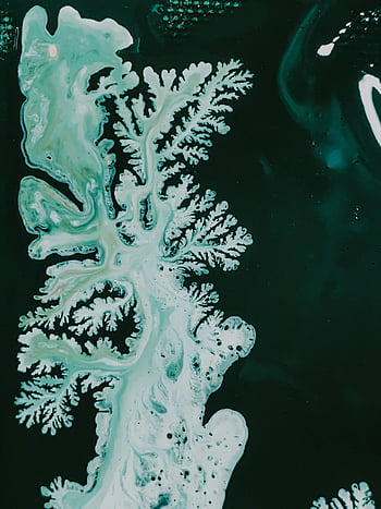 abstract painting, green and white, fluid patterns, organic shapes, acrylic inks, dynamic abstract, wet paint, creative painting, abstract art, fluid art, organic forms