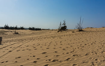 dunes, white Sand, tour, tourism, tourist, asia, vietnam, desert, sand, blue Sky, landscape
