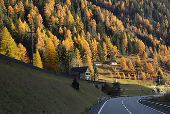 mountains, coniferous Forest, autumn, travel, level Crossing, railway Traction, railway Line, transport, highway, asphalt, railway
