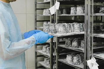laboratory worker, protective gear, cheese maturation, laboratory setting, unrecognizable worker, shelf, products, cheese, maturation process, food safety, dairy production