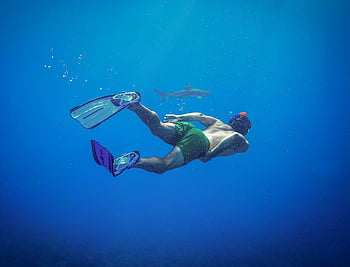 man swimming with shark, snorkeler, underwater, shark, Moorea, clear ocean waters, swimming, ocean, underwater photography, marine life, adventure