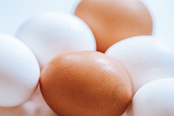 vejce, organický, protein, jídlo, přírodní