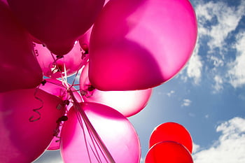 pembe balonlar, kırmızı balonlar, düşük açılı atış, güneşli mavi gökyüzü, kutlama temaları, canlı renkler, açık hava kutlaması, şenlikli atmosfer, parti süsleri, balon kümesi, gökyüzü arka plan